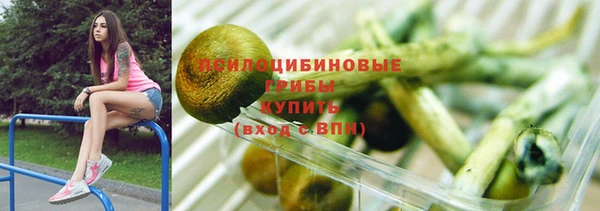 индика Алзамай