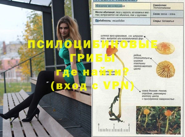 индика Алзамай