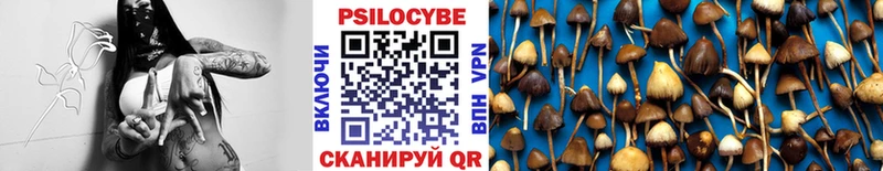 Галлюциногенные грибы ЛСД  Кореновск 